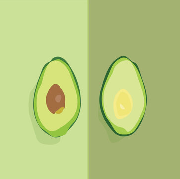 2 sliced avocado illustration in green and dark green background for promoting food and enducation