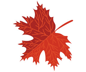 season autumn yellow tree leaves