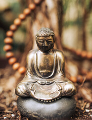 Statue of buddha doing yoga on top of black magic energy stone with Tibetan wood collar and roots in the background