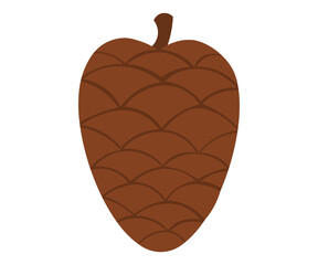 season autumn brown cone fir fruit