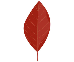 season autumn yellow tree leaves