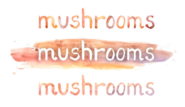 National Mushroom Day stock images. Mushroom Day Poster, October 15. Important day. mushrooms watercolor lettering
