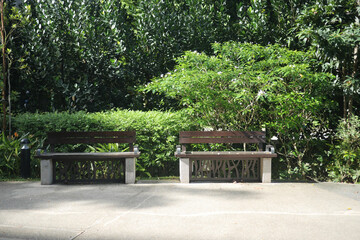a old wooden bench at garden park