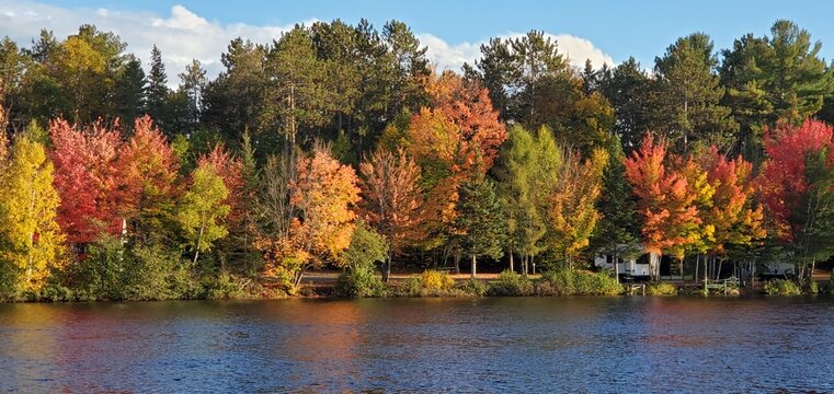 Autumn