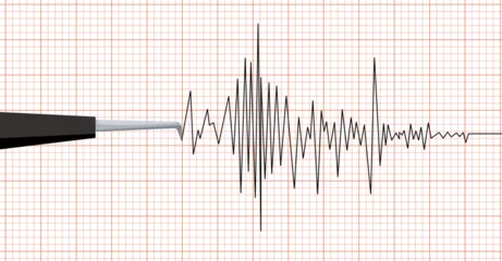 Fotobehang Earthquake seismic waves on seismograph graph paper. Vibration measurement recording chart . Polygraph lie detector diagram test record. Audio wave, wind or tempetature graph. Vector illustration. © Irina
