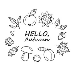 Hello Autumn. Fall harvest symbols. Set of autumn elements: leaves, berry, apple, plum, mushroom, acorn, nut, chestnut, sunflower. Isolated vector illustration in doodle line style.