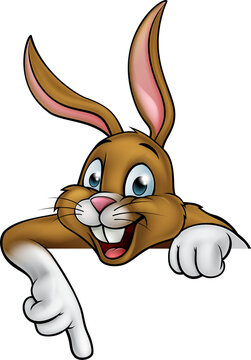 Cartoon Easter Bunny or Rabbit Pointing