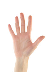 Female Hand is Making Number Five Sign on White Background