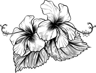 Hibiscus Flowers Vintage Style Woodcut Engraved Etching