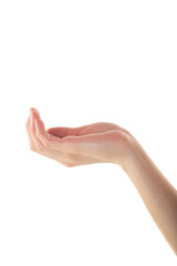 Female Hand is Holding Something Gently on Isolated White Background