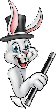 Cartoon Rabbit Magician Pointing