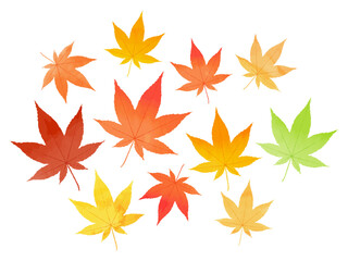 紅葉　葉　秋　もみじ　日本　水彩風　赤