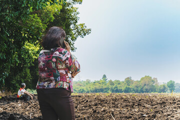 Back view of Asian elderly woman farmer use phone for business to plan farming in wilderness. Female farmers consult with landowners to cultivate crops in soil field. Farm and agricultural business. - obrazy, fototapety, plakaty