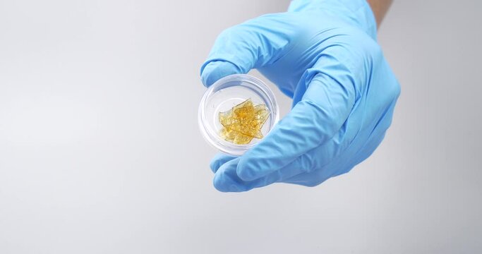 golden resin wax ,medical cannabis extract in hand with medical gloves. High quality 4k footage