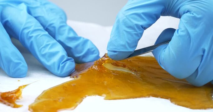 sticky cannabis dab, resin amber with high thc High quality 4k footage