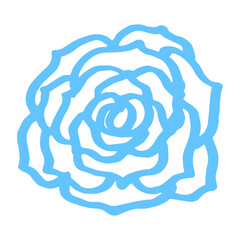 flower hand drawn illustration design