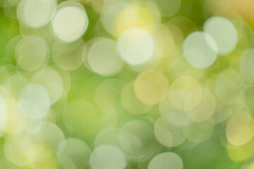 Fototapeta premium green background