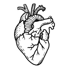 heart hand drawn illustration design