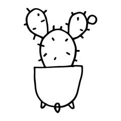 - hand drawn illustration design