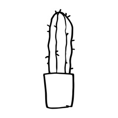 cactus hand drawn illustration design