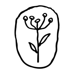 flower hand drawn illustration design