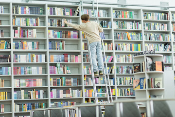 back view of teenage student standing on ladder and choosing books on racks in library. - obrazy, fototapety, plakaty