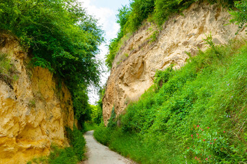 Weinberg Lös Hohlweg