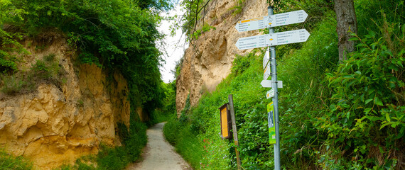 Weinberg Lös Hohlweg