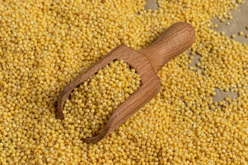 Millet groats background. Top view, close-up.