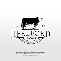 hereford bull cattle farm logo design idea