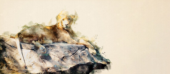 The young lion sitting on the rock. Watercolor style.