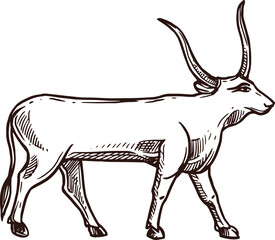 Apis bull sketch, Ancient Egypt deity and animal god, vector mythology icon. Ancient Egypt sacred deity animal Apis bull or ox, Egyptology and pharaoh deity in hand drawn sketch