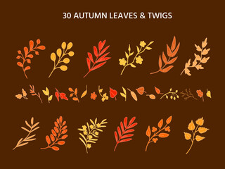 Fototapeta na wymiar Simple hand drawn sketches of fantasy and real leaves, twigs, herbs, plants in autumn colors. Set of romantic doodles