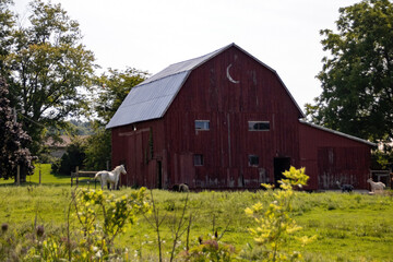old red barn © Susan