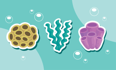 three coral reef icons