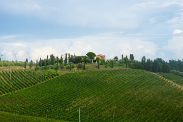 Fototapeta na wymiar Firenze, Tuscany, Italy 08-26-2022. Beautiful landscape of vineyards in Tuscany
