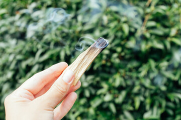 Woman holding smoldering palo santo stick with smoke against natural green leaves background with...