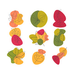 Autumn leaves