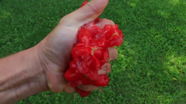 Male hand is crushing raw red tomato, the seeds explose, tomato juice is squizzed. Close up, natural green grass background. The man's hand looks strong.