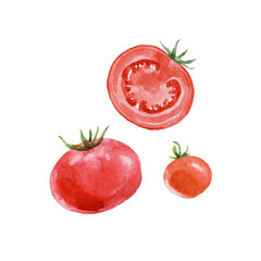 Beautiful stock clip art illustration set with hand drawn watercolor tasty red tomato vegetable. Healthy vegan food.