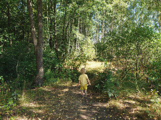 A toddler baby boy hiking with his family. Summer nature tracking with children. Summer adwentures in the forest, in the woods. Seasonal landscape