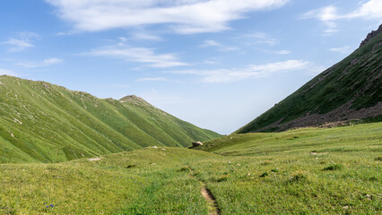 Green hills. Green mountain peaks