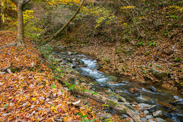 晩秋のもみじ湖周辺