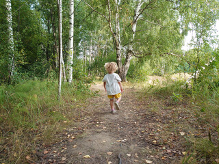 A cute little toddler boy walking and running in the forest. Birch trees summer landscape.