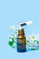 bird cherry essential oil in a bottle with a pipette, on a blue background. Close-up