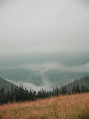 misty morning in the mountains