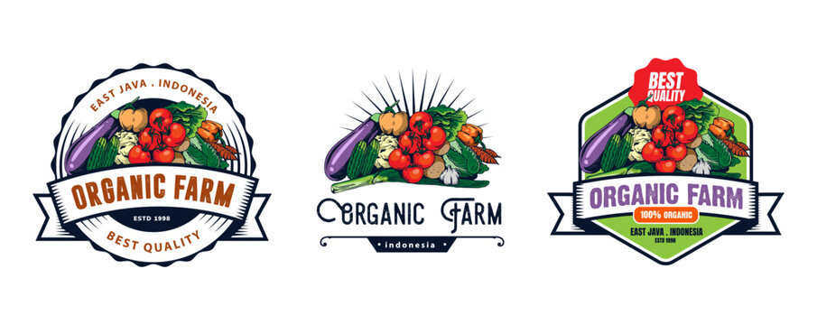vegetable logo design