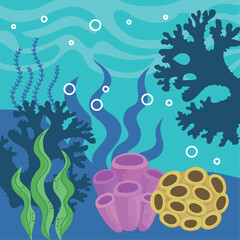 coral reef and algaes sea