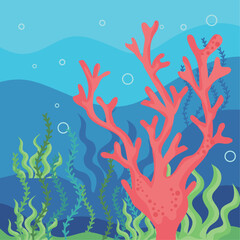 Fototapeta na wymiar coral reef undersea