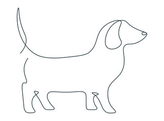 Continuous line drawing of dachshund. Silhouette of walking dog. Outline drawing with single line. Dog in one line. Modern simple illustration in minimalist style. Abstraction on isolated background.